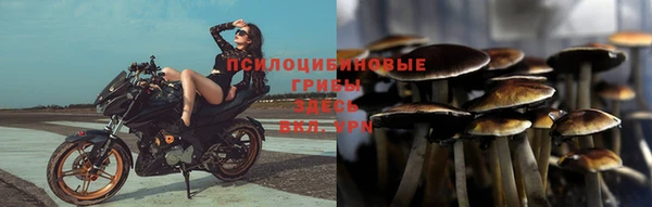 ГАЛЛЮЦИНОГЕННЫЕ ГРИБЫ Пролетарск
