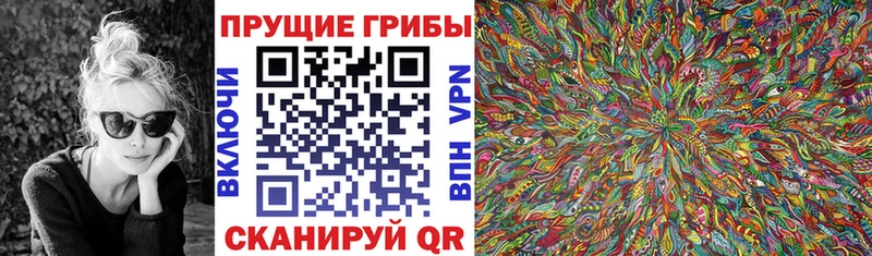 Псилоцибиновые грибы MAGIC MUSHROOMS  Горбатов 